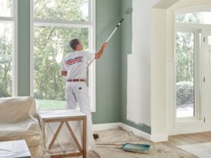 Freshly painted living room interior